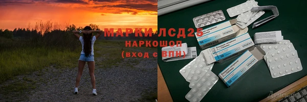 индика Алексин