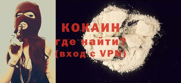 индика Алексин