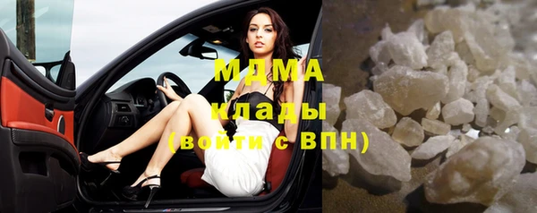 индика Алексин