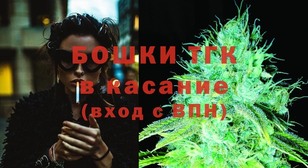 индика Алексин