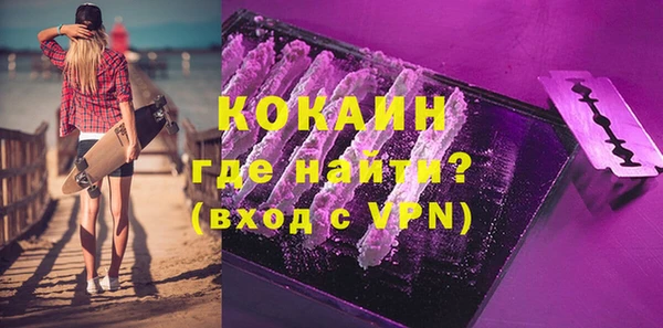 индика Алексин