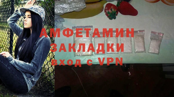 индика Алексин