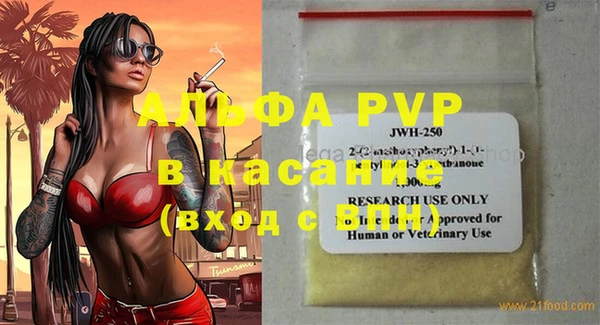 индика Алексин