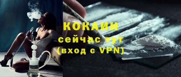 индика Алексин