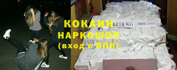 индика Алексин