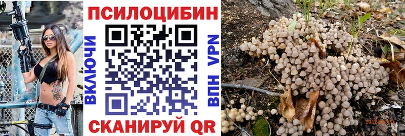 mega зеркало  Карачаевск  даркнет как зайти  как найти закладки  Галлюциногенные грибы мицелий 